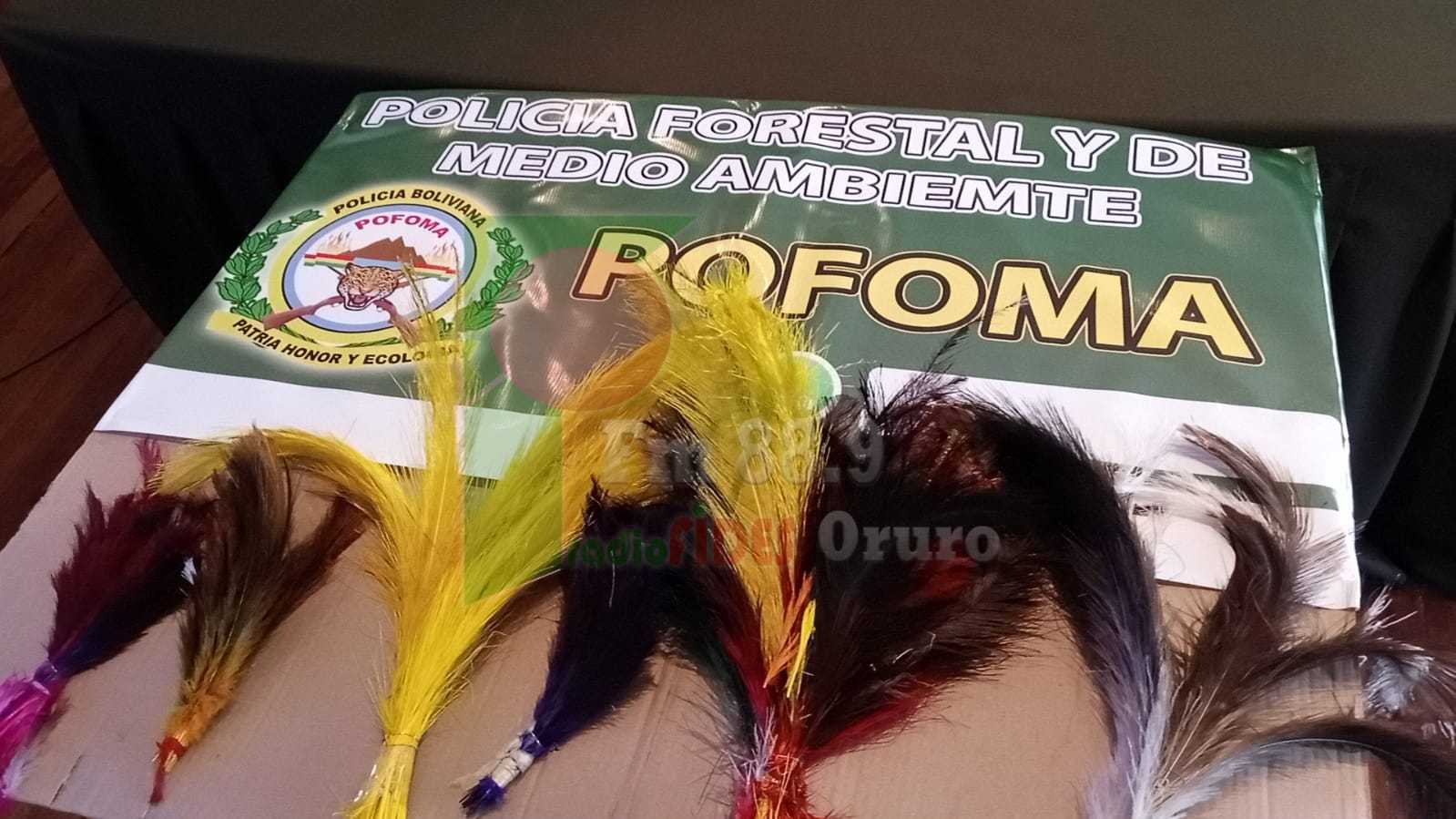 INFORMACION LOCAL